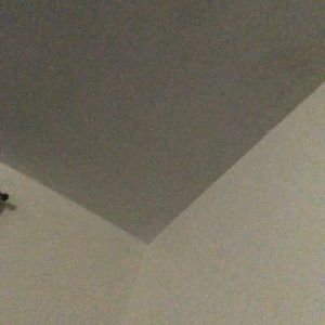 Meet your Posher, Tiff